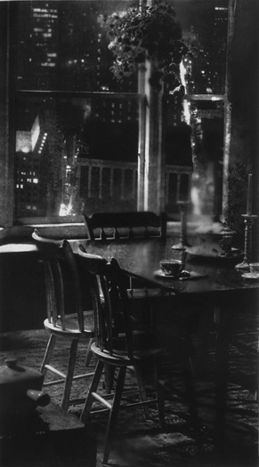 Hanging Plant/Roof, Gelatin Silver Print, 71in x 41in, 1997